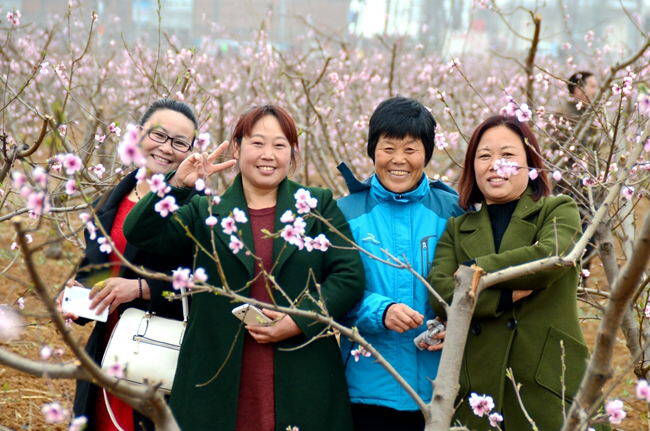 再度农民桃花节,桃花仙子邀你来