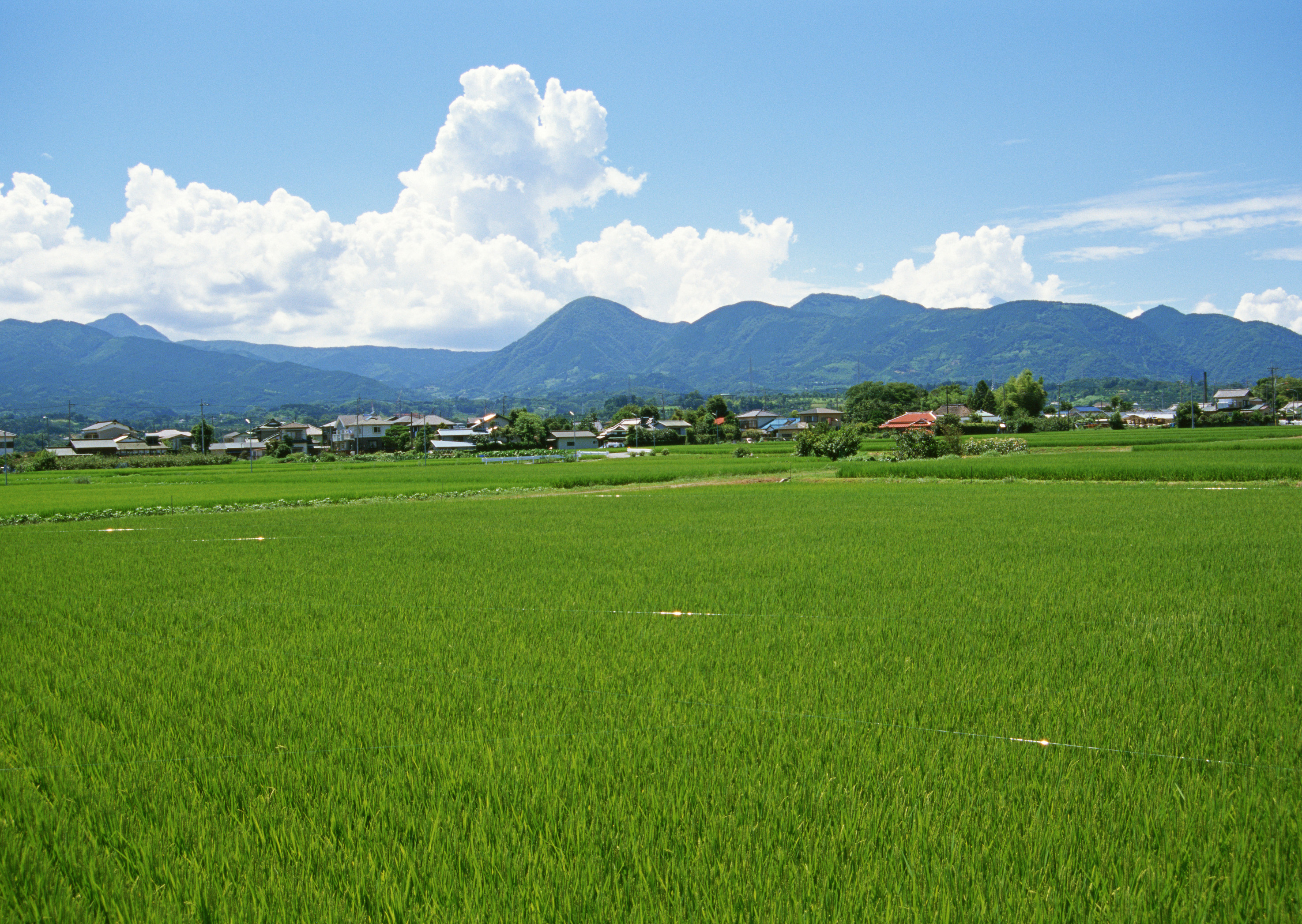 《田园生活》田园山水主题系列图片(一)