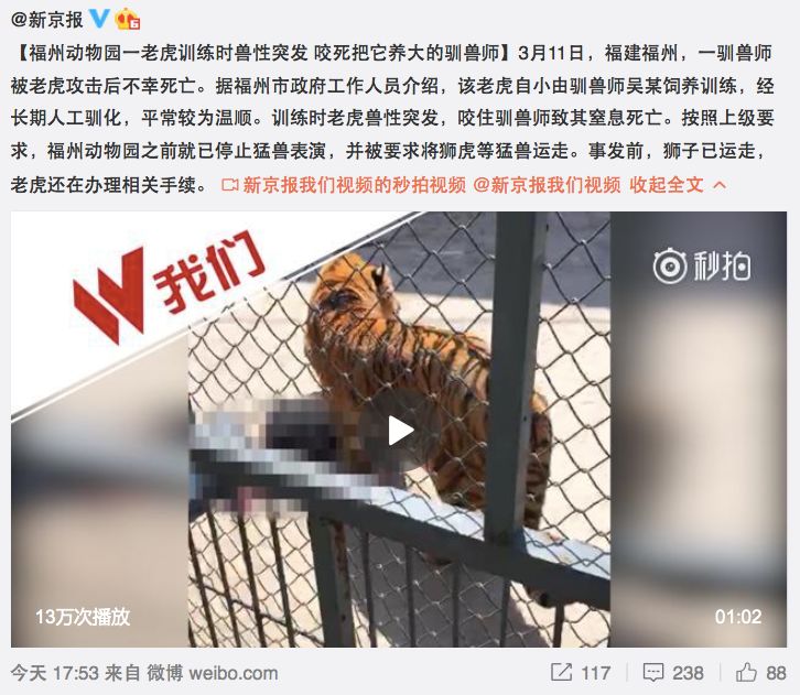 惨福州动物园一男子被老虎咬死动物表演何时能终结