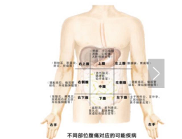 肚子痛在临床上是很常见的症状,也是许多疾病的共性.