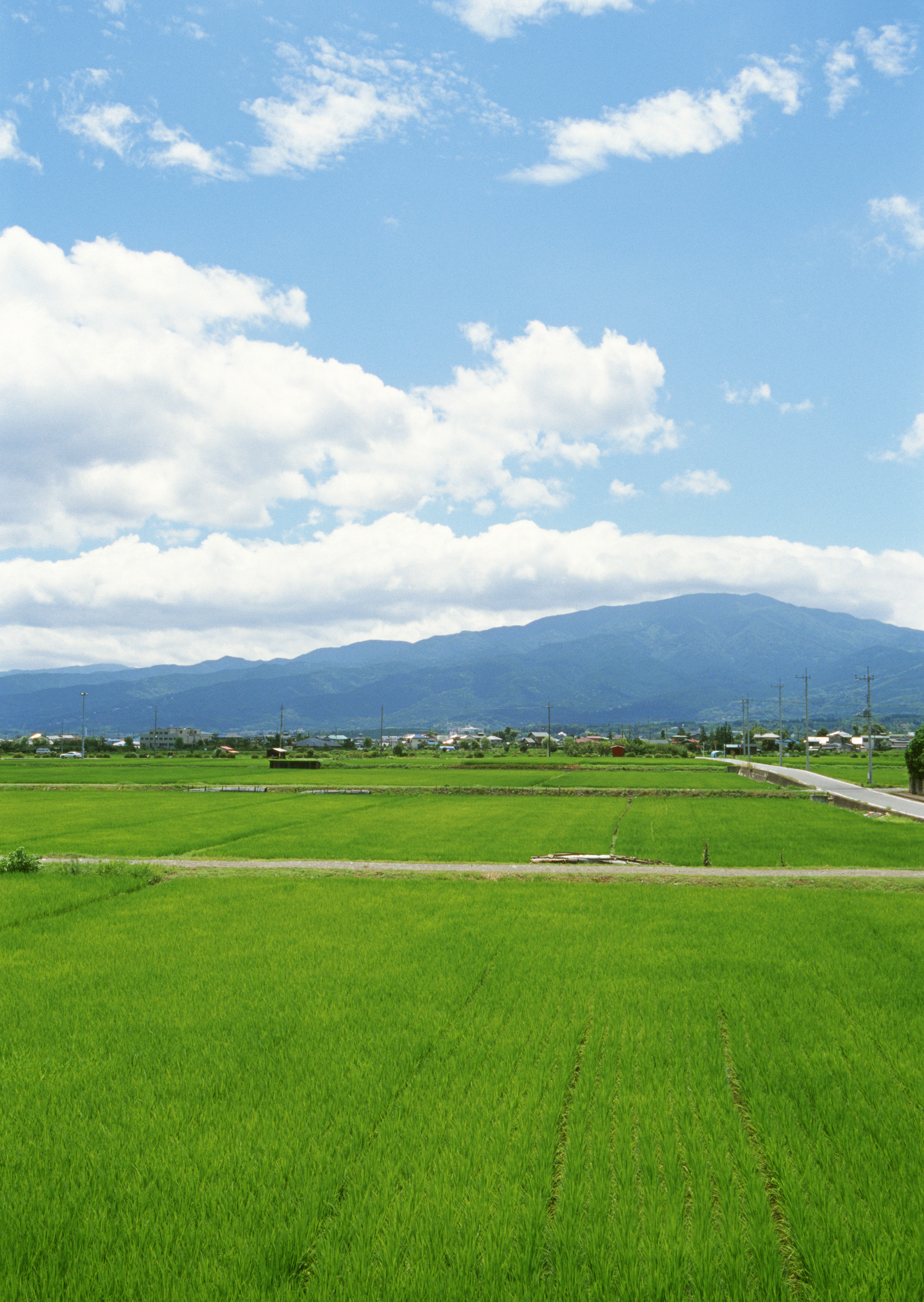 《田园生活》田园山水主题系列图片(一)