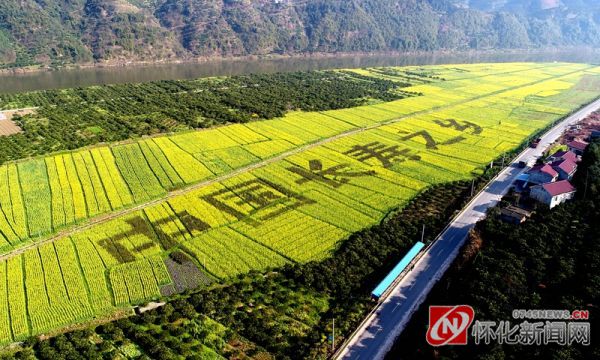 (连日来,麻阳苗族自治县万亩油菜花竞相绽放,吸引周边游客慕名观赏.