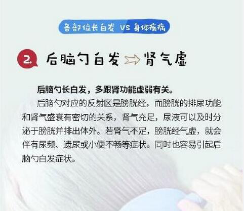 开始长白头发了怎么办