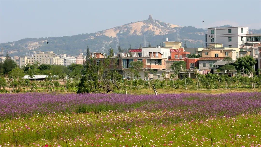 这是一座建于宋代的石塔 稳稳站立在泉州湾南岸的宝盖山上