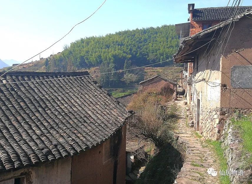 仙居古村落叶岩头村