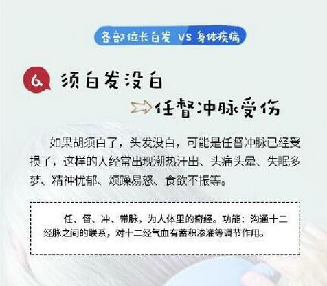 开始长白头发了怎么办