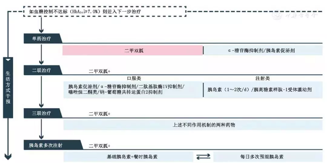 中国2型糖尿病防治指南2017年版要点提示