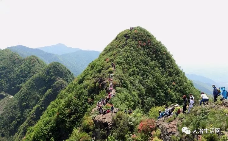 社会 正文  龙角山位于大冶市区金湖街办与大箕铺镇交界处,离市区约10