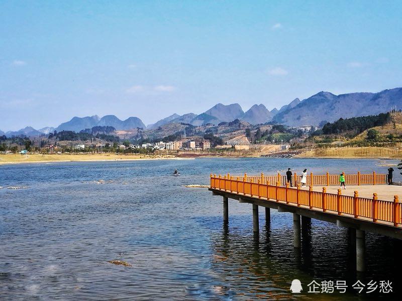 风景太美坏境良好,候鸟斑头雁首次"空降"贵州这里