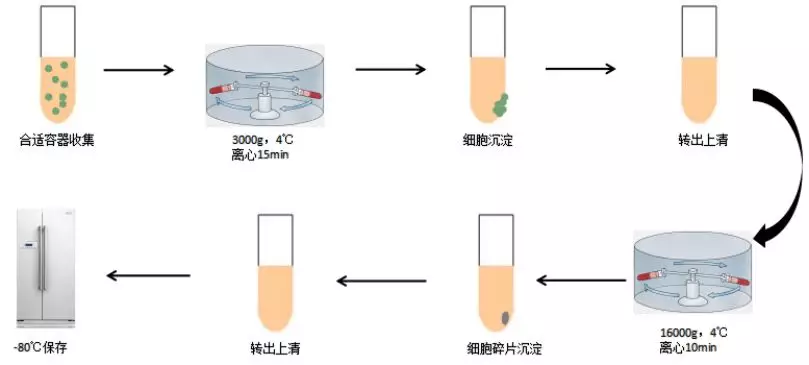 常见医学样品rna提取制备方法