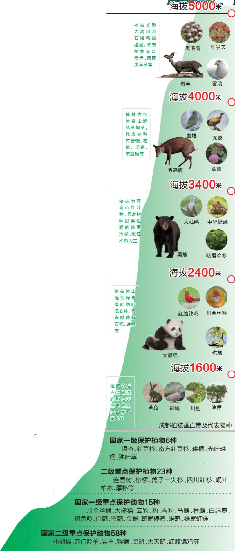 广东经济总量约占全国十分之一左右(2)