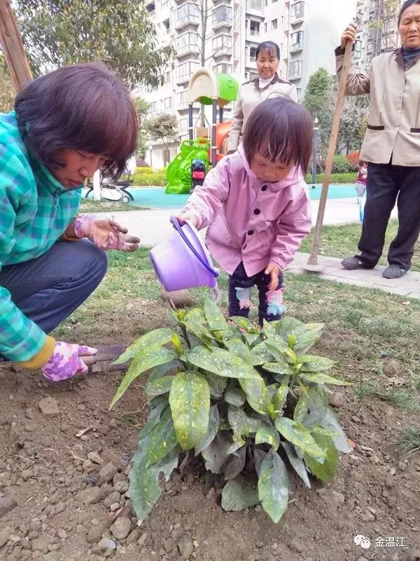 桶柏人口_人口普查(2)