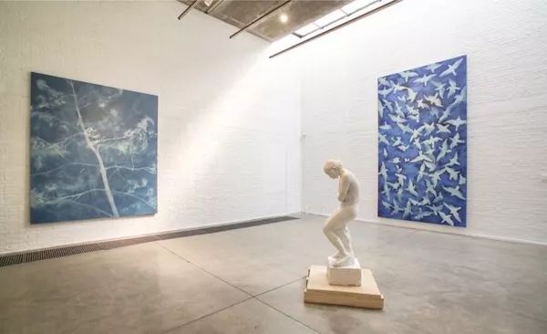 此次展览呈现了张大力最新的蓝晒系列作品以及人像汉白玉雕塑