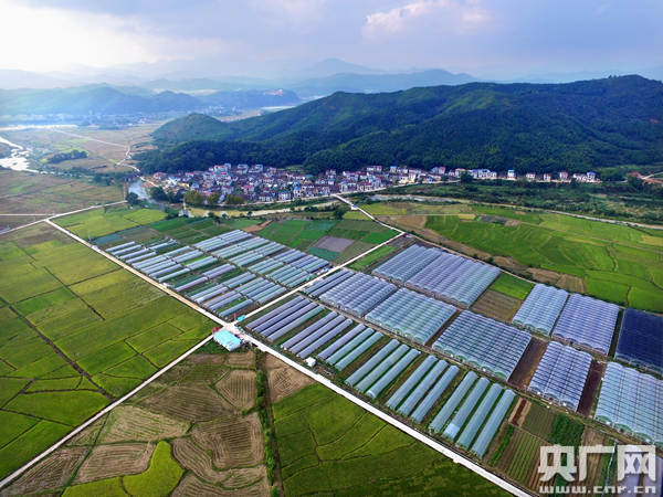 谁不说咱家乡好南平市长许维泽打好生态与绿色两张牌让南平山清水美人