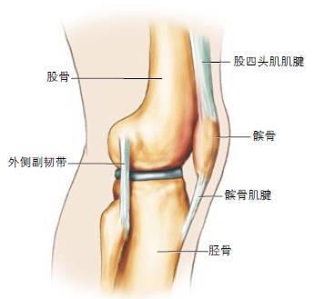 全方位解析:跑步膝关节损伤如何自我治疗