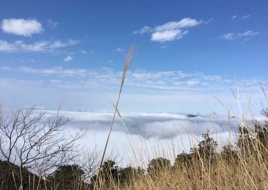 天堂顶 地址:广州从化区x934 交通:广从4线至从化汽车站转桃莲a线至