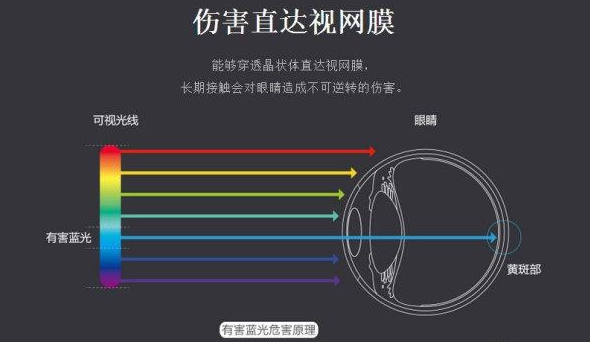 深入解析AMOLED与OLED，哪个更伤眼？