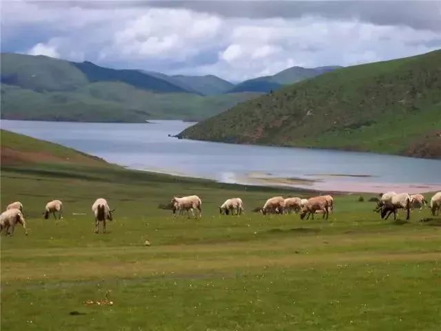 莽措湖门票:免费地址:昌都地区八宿县境内西南角宛如明镜般的湖面,将