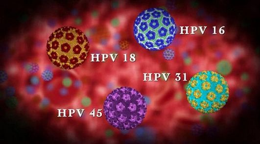 "无论2价与4价hpv疫苗,均可用于预防高危hpv(16型和18型)感染所致的