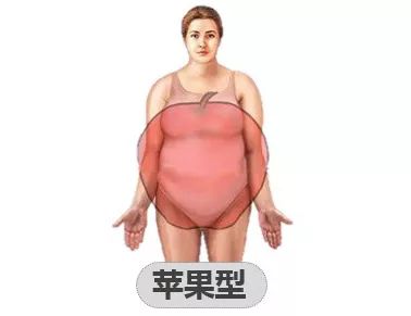 或女性腰围≥85厘米,就可以判定为中心性肥胖,也就是通俗讲的苹果型