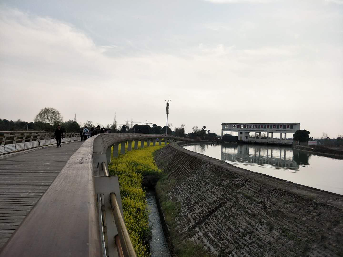 三道堰不仅有空中绿道,还有油菜花烧烤和美景