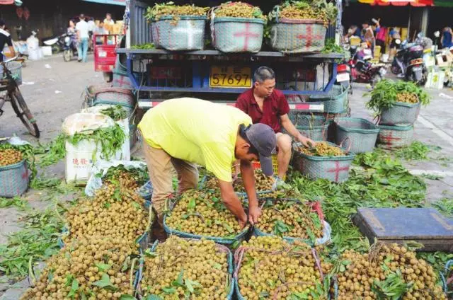 批发市场--中国水果的顶梁柱如今为何日渐衰落？kb体育(图7)