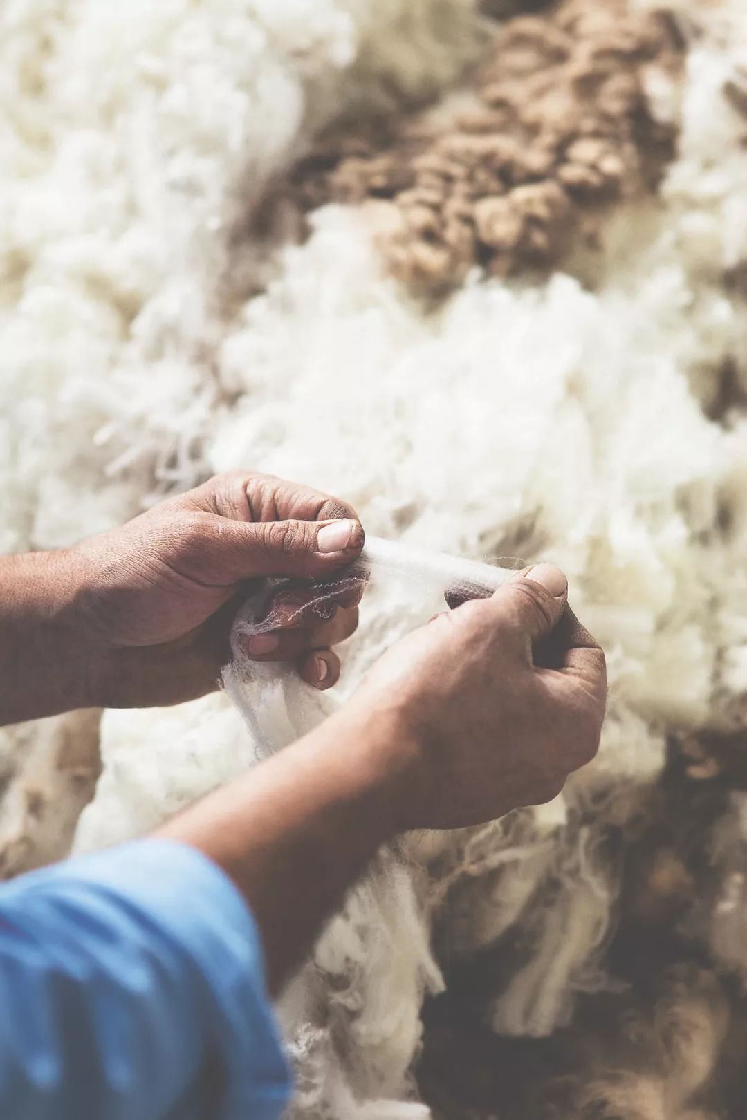 38一斤秒杀100%澳大利亚羊毛 紫粉色澳之宝精纺羊毛线48支纯羊毛-淘宝网