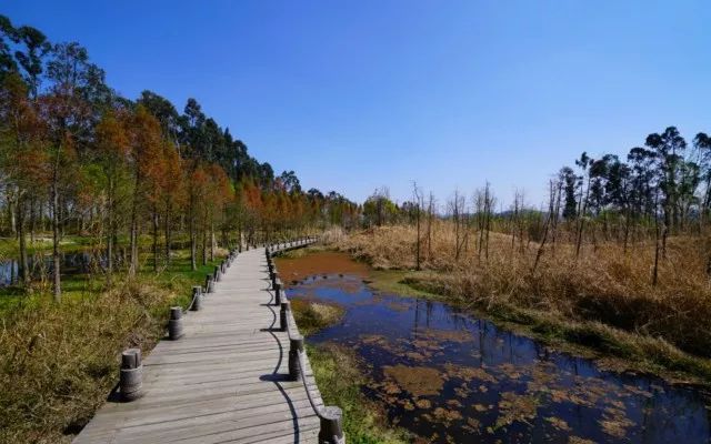 晋宁东大河湿地公园