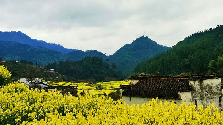 旅游 正文 世外桃源汪槎村,汪槎的梯田油菜花和江岭的风格完全不一样