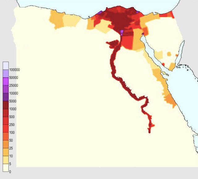 埃及的人口聚集地示意图