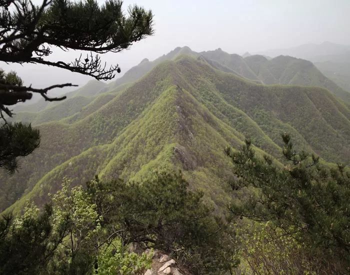 大连万家岭老帽山旅游度假区为国家aaa级旅游度假区,老帽山海拔848米