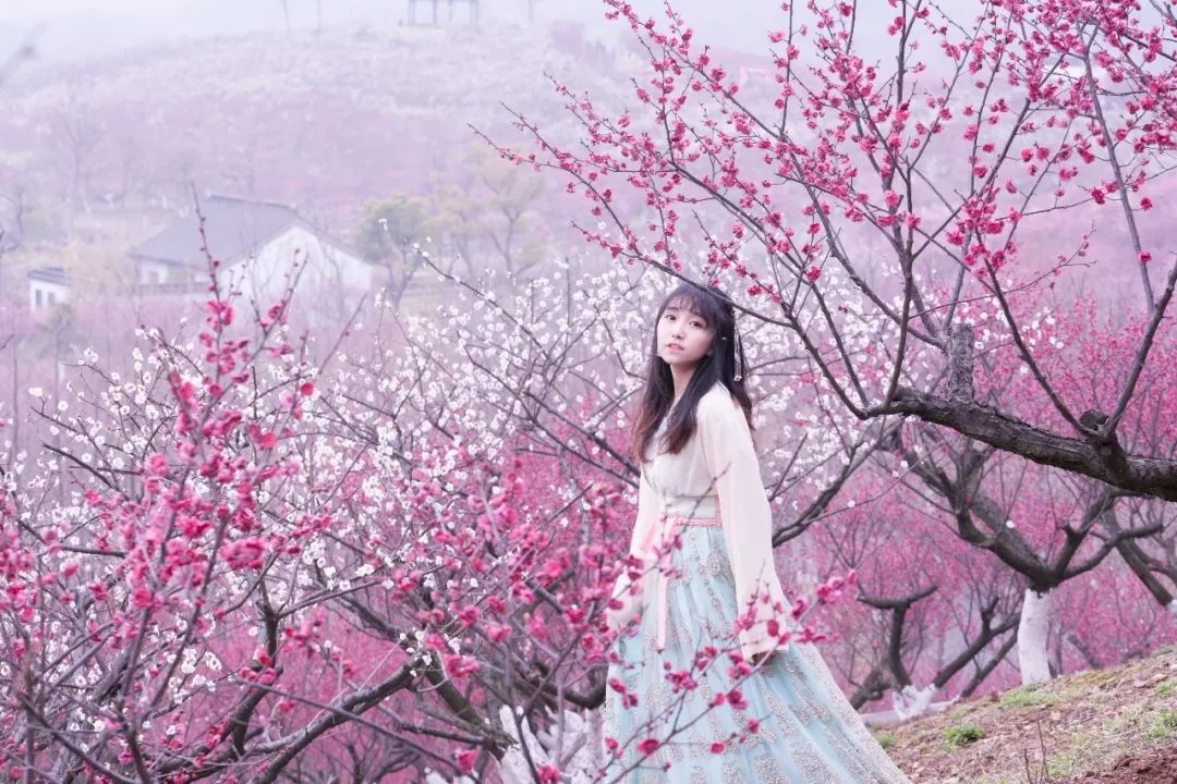 3月桃花开?梅花林里的汉服少女在等你