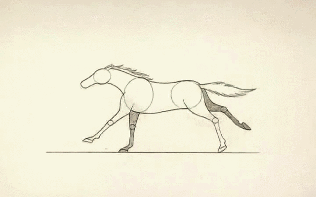 自学绘画,学会马的画法技巧结构剖析,展示马的动态和跑步姿势