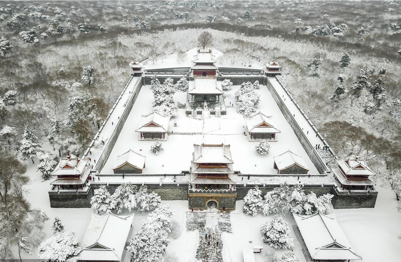 航拍雪后沈阳北陵 树影婆娑如水墨画