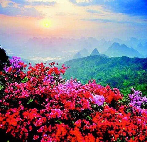 旅游 正文  2,南岳衡山,南岳衡山是中国五岳之一,位于湖南省衡阳市图片