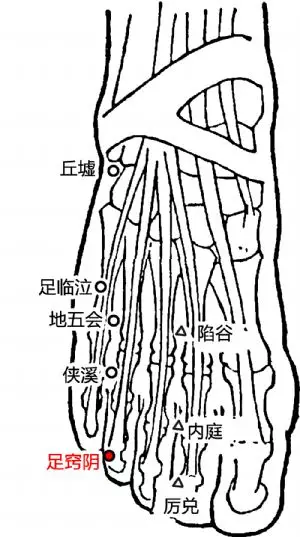 中医专长医师资格考试--足窍阴穴: 主治肋间神经痛,高