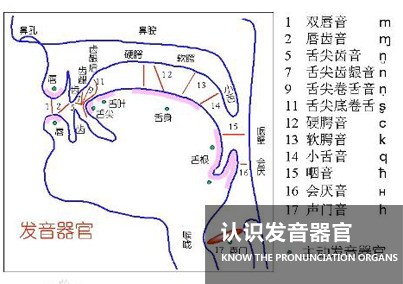 人的发音原理是什么_什么是双性人图片(3)