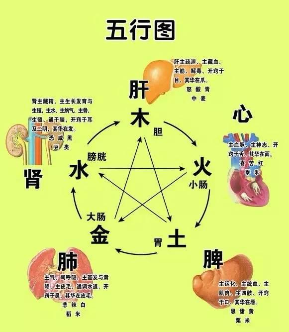 阴阳的交互作用包括:阴阳交感,对立制约,互根互用,消长平衡,相互转化