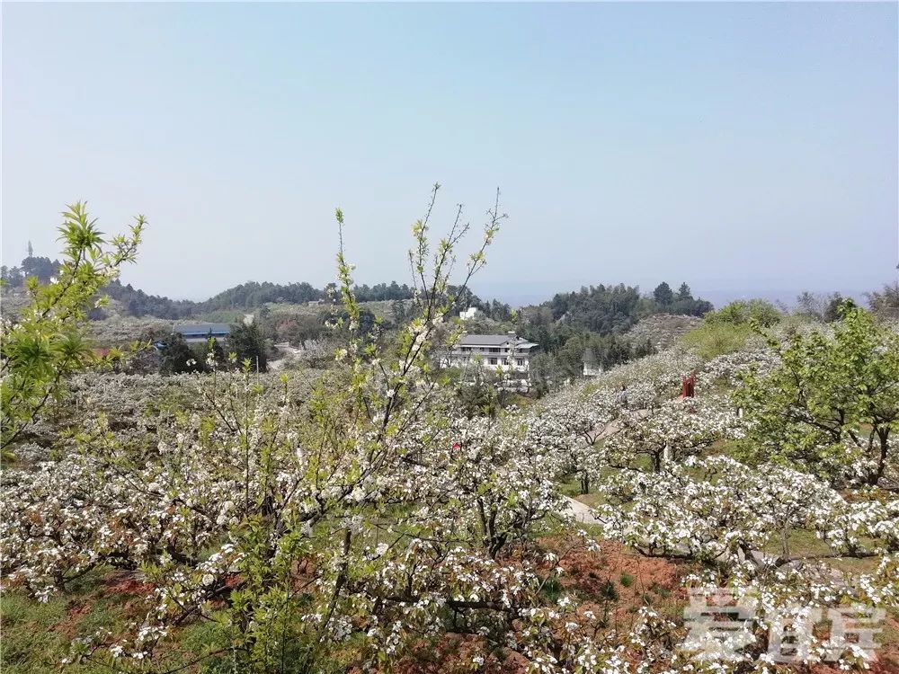 国家aa级旅游景区,四川省最佳乡村旅游线路等称号