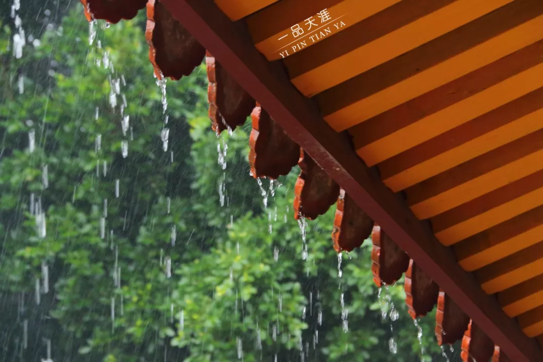 好雨时节,在泉州府文庙邂逅一场春雨!