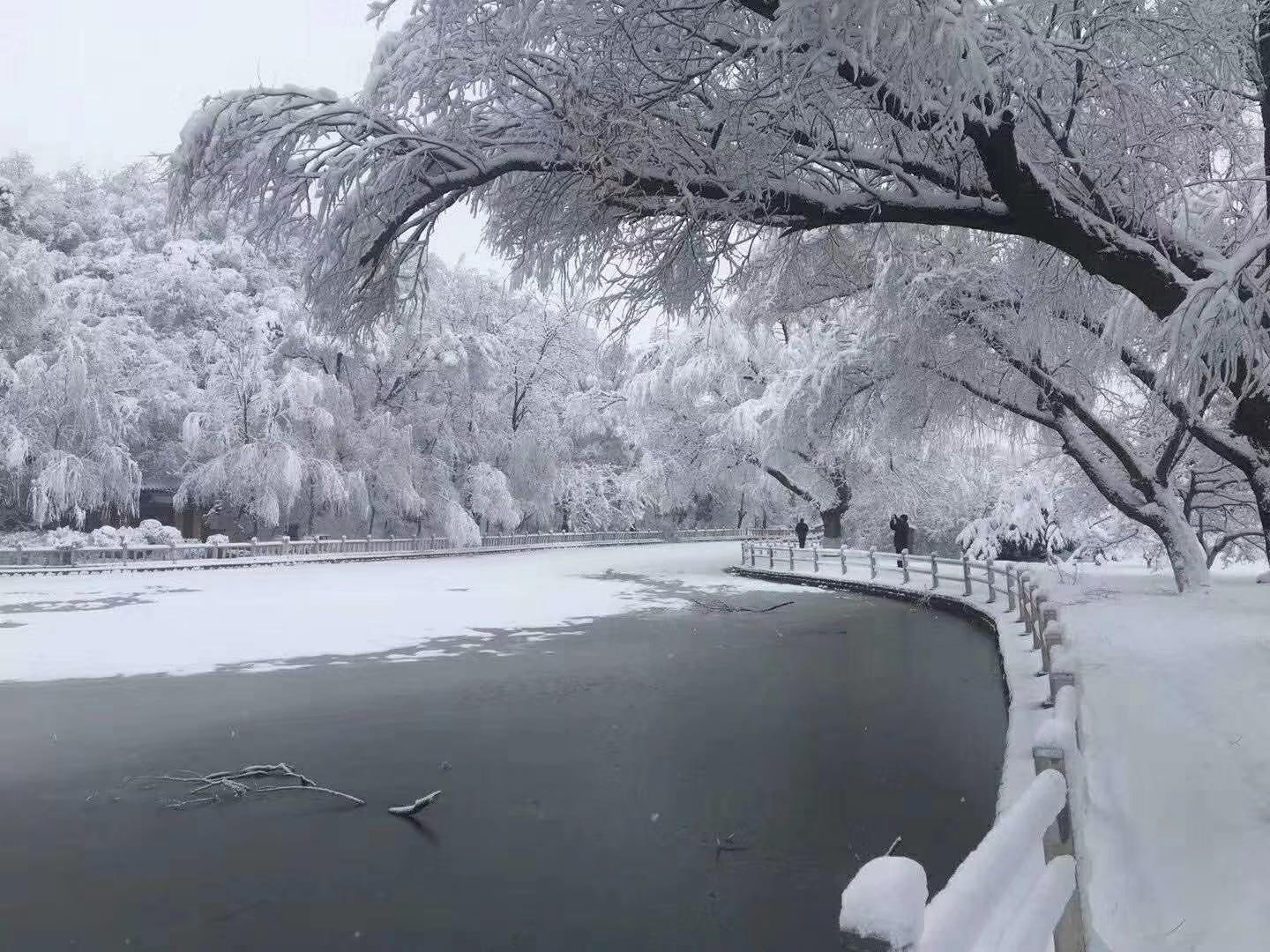 春雪飘落银装素裹