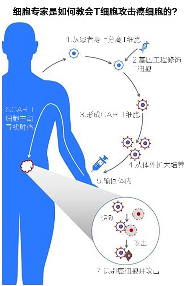 杀灭人口_新冠病毒被杀灭(3)