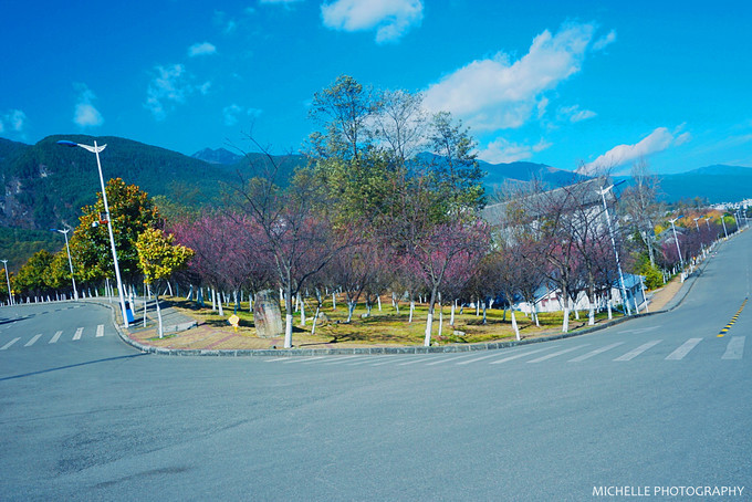 大理大学