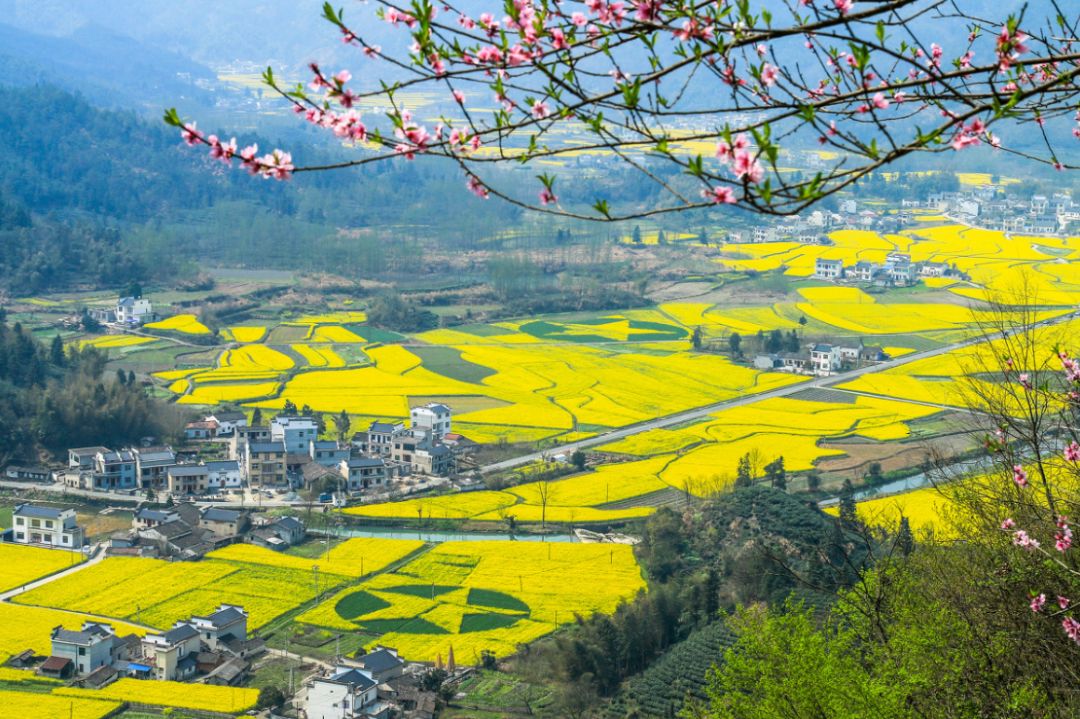 黟县人口_千古黟县,漫居小城 拥有这样的生活,难怪黟县人都不舍得出去(2)