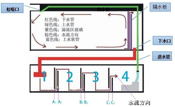 生态鱼缸的水循环是什么原理_虹吸原理鱼缸水循环