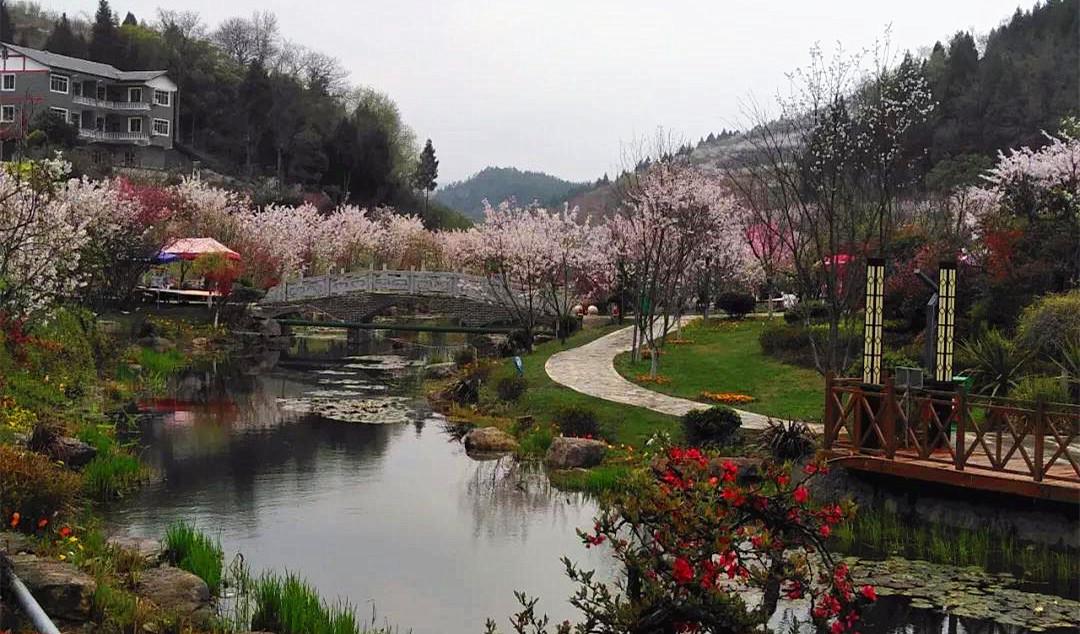 旅游 正文 新蒲樱花谷地处洛安江生态文明示范区核心区,占地1000余亩