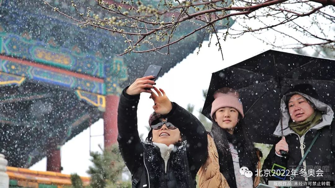 …久违的雪花飘落京城各个角落,也让微信朋友圈再一次被"晒雪"的