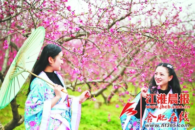 2018中国·合肥桃花节在三十岗乡启幕