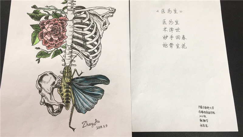 是解剖结构与绘画灵感的激情碰撞,是医学与艺术的完美结合