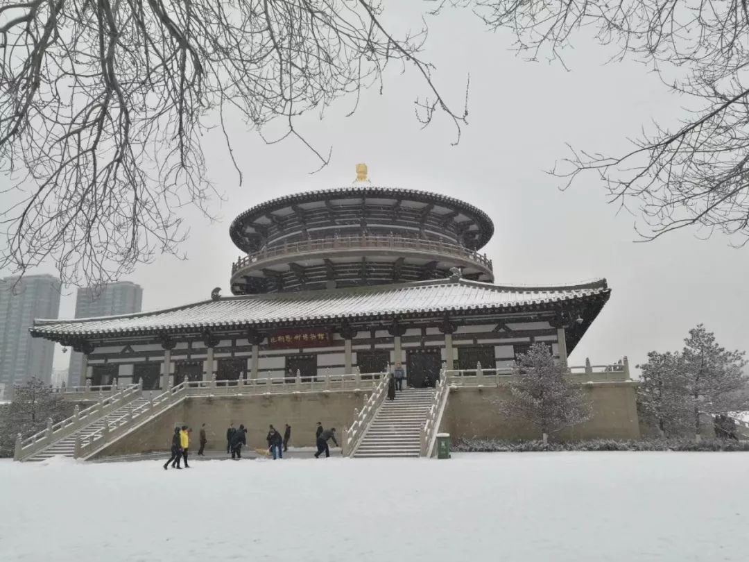 下雪了!大同多个地区突降大雪!(内附雪景和路况信息)